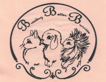 embroidery digitizing rabbit